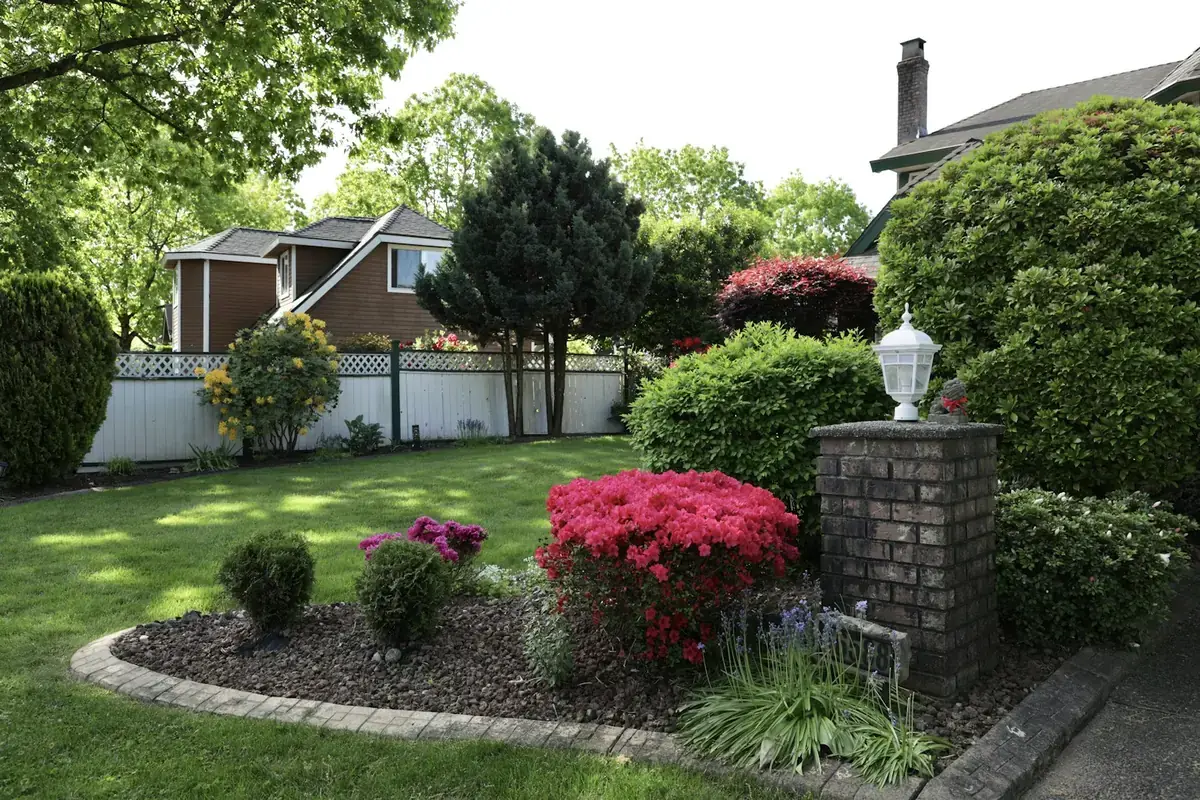 A front yard with curved mulched beds, red azaleas, rounded shrubs and a brick lamp post